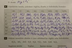 Nemetalu-Chemija-10-klasei-4-puslapis